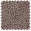 Speckle Lilac