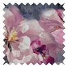 Paradise Berry