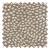 Speckle Portobello