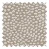 Speckle Shell