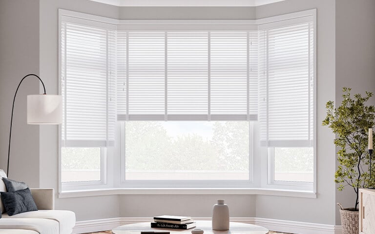 Venetian Blinds